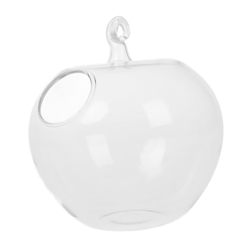 VICASKY Klare Glasvase Zum Aufhängen, Großes Pflanzen-Terrarium, Desktop-hänge-Aquarium Für Zuhause, Büro, Garten, Luftpflanzen, Sukkulenten von VICASKY