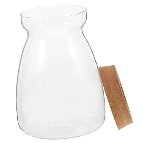 VICASKY Klarglas Hydroponische Blumenvase Für Sukkulenten Große Trapezform Für Hochzeitsfeiern Tischdeko Und Landschaften Glasgefäß von VICASKY