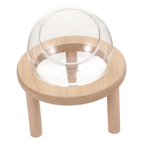 VICASKY Kleines Sandbad für Hamster aus Transparentem mit Holzboden Praktische Badewanne und Toilette für Kleine Haustiere Leicht zu Reinigen Sicher und Langlebig für Zwerghamster und von VICASKY