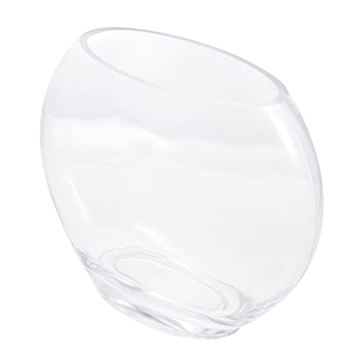 VICASKY Kleines Transparentes Aquarium Design für Mikrolandschaften für Sukkulenten und Hydroponik Leicht und Tragbar für Wohnzimmer und Bürodekoration von VICASKY