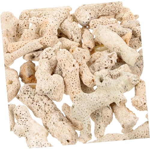 VICASKY Korallenknochen Filtermedium aus Natürlichem Korallenmaterial Wiederverwendbarer Aquarium Teich Filter für Effektive Wasserreinigung Sauerstoffanreicherung und Fischschutz mit VICASKY Korallenknochen Filtermedium aus Natürlichem Korallenmaterial Wiederverwendbarer Aquarium Teich Filter für Effektive Wasserreinigung Sauerstoffanreicherung und Fischschutz mit von VICASKY