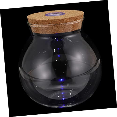 VICASKY Micro Landschaft DIY Flasche Mit LED Beleuchtung Glasflasche Für Terrarium Design Pflanzenterrarium Halter Für Moos Und Miniaturpflanzen von VICASKY