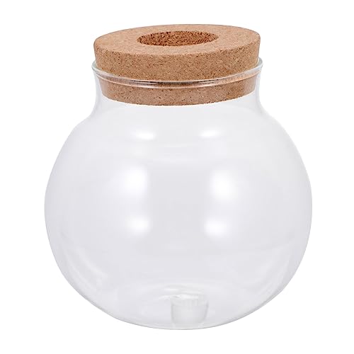 VICASKY Mikrolandschaft Glasflasche mit Schraubdeckel Kleine Ökologische Moos Pflanzenflasche für Desktop Dekoration Bruchsicheres Glas Vielseitig für Wohnzimmer Büro DIY Moos Landschaft von VICASKY