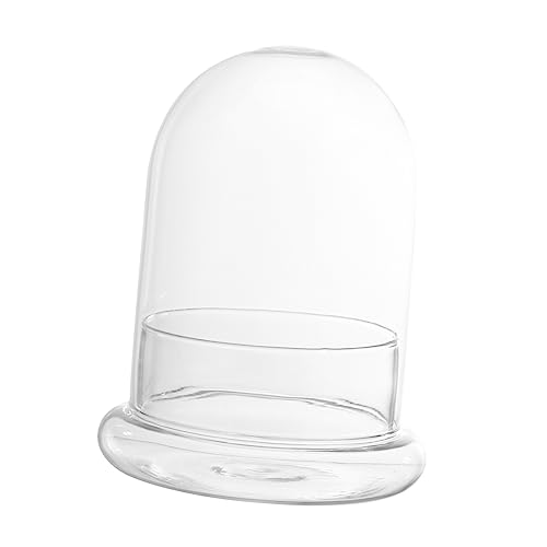 VICASKY Mikrolandschaftsflasche Mit Dekorativer DIY Flasche Für Arrangements Tischornament Für Flaschenverzierung Für Gestaltung von VICASKY