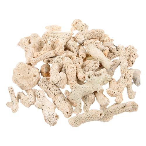 VICASKY Natürliches Aquarium Filtermedium aus Korallenknochen Zerkrümeltes Meeresriff für Süßwasser Hochwertiges Filtermaterial für Fischbecken und Teiche Verbessert Wasserqualität und VICASKY Natürliches Aquarium Filtermedium aus Korallenknochen Zerkrümeltes Meeresriff für Süßwasser Hochwertiges Filtermaterial für Fischbecken und Teiche Verbessert Wasserqualität und von VICASKY