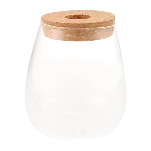 VICASKY Ökologische Flasche Für Hydrokultur Großes DIY Pflanzen Terrarium Für Mikrolandschaften Und Pflanzenarrangements Langlebig von VICASKY