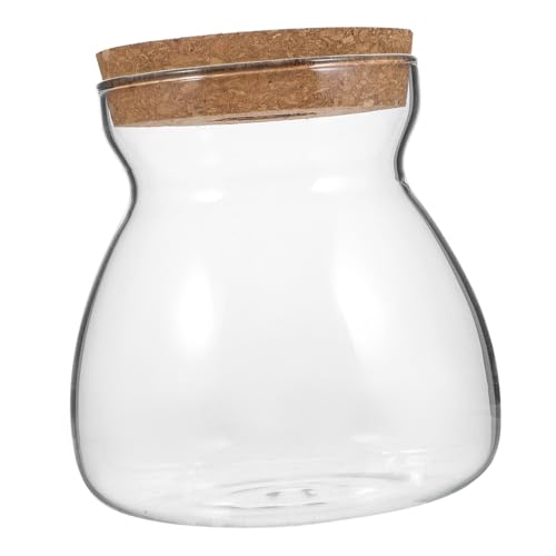 VICASKY Ökologische Mikrolandschaftsflasche Sukkulenten Krüge mit Deckel Container Vermehrungsgefäße zimmerpflanzen Ökosystem Terrarium Behälter für hydroponische Pflanzen Glas Transparent von VICASKY