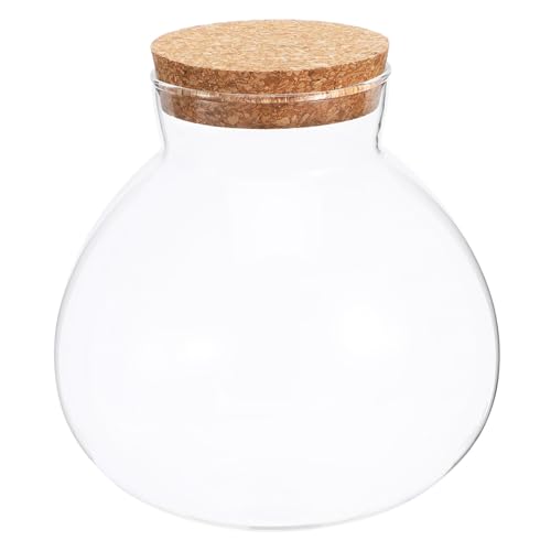 VICASKY Ökologische Pflanzenflasche Für Mikrolandschaften Deko Flasche Mit Korkverschluss Für Terrarien Und Pflanzendekorationen Im Wohnbereich von VICASKY