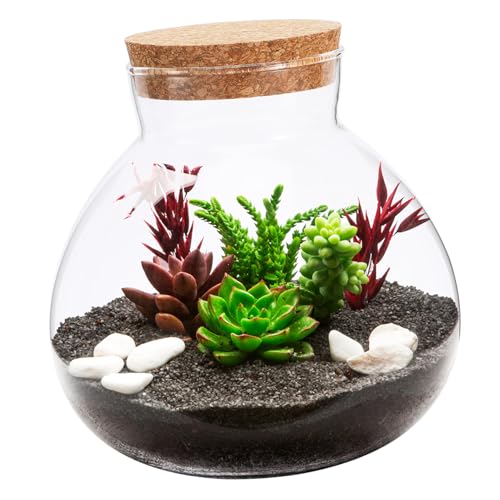 VICASKY Ökologische Pflanzenflasche mit Korkdeckel Eleganter Terrarium Behälter für DIY Landschaften zur Dekoration von VICASKY