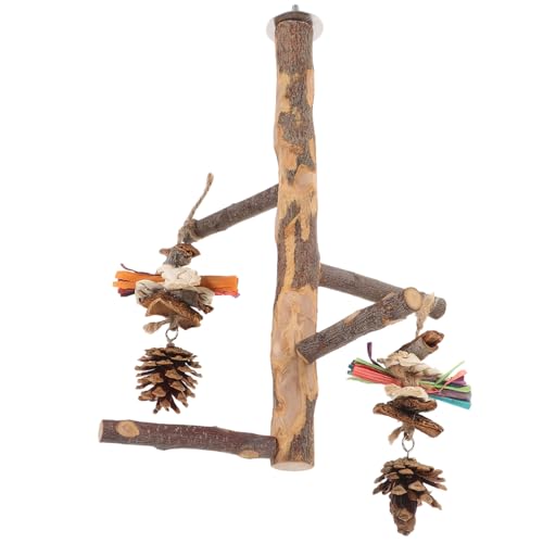 VICASKY Papageienständer Aus Holz Für Sicheres Vogelspielzeug Interaktion Für Papageien Sittiche Und Kleintiere Zu Reinigen von VICASKY
