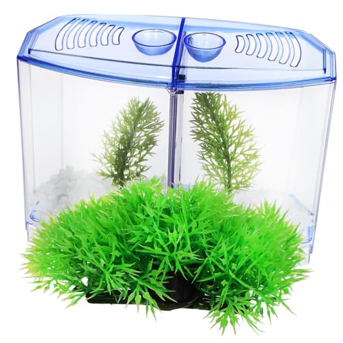 VICASKY Plastik Aquarium mit Transparentes und Blaues Desktop Fischbecken mit Trennwand Künstlichen Pflanzen für Kleine Fische und DIY Mikro Landschaften Dekorativ und Vielseitig von VICASKY