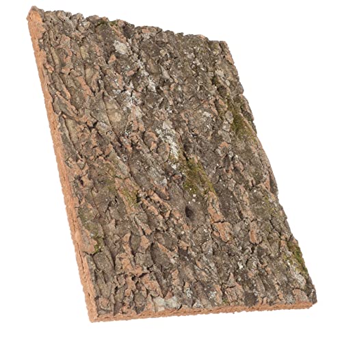 VICASKY Reptilien Klettermatte aus Natürlicher Korkrinde Terrarium Dekoration für Schildkröten und Eidechsen für Klettern und Entspannen Langlebig von VICASKY