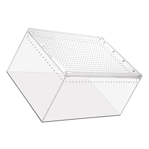 VICASKY Multifunktions Reptilienkäfig für Schildkröten Spinnen Schlangen Transparente Zuchtbox mit Belüftungsöffnungen Leicht und Tragbar Zubehör für Terrarien von VICASKY