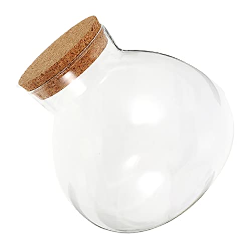 VICASKY Ökologische Glasflasche für Sukkulenten Mikrolandschaftsflasche Selbstgemacht Terrarium mit Korkdeckel Dekorative Glasflasche für Tisch Mooslandschaftsbehälter VICASKY Ökologische Glasflasche für Sukkulenten Mikrolandschaftsflasche Selbstgemacht Terrarium mit Korkdeckel Dekorative Glasflasche für Tisch Mooslandschaftsbehälter von VICASKY