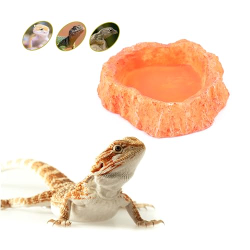 VICASKY Rutschfester Reptilien Futternapf Orange Dickwandige Schale für Kleine Eidechsen Schildkröten Wassernapf Leicht zu Reinigen Geruchsneutral als Futter und Trinkbehälter für VICASKY Rutschfester Reptilien Futternapf Orange Dickwandige Schale für Kleine Eidechsen Schildkröten Wassernapf Leicht zu Reinigen Geruchsneutral als Futter und Trinkbehälter für von VICASKY