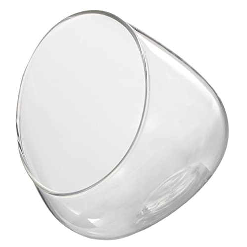 VICASKY Slant Cut Terrarium Glasmoos Pflanzenflasche Multifunktionale Pflanzenglasbehälter für Miniaturgärten Deko Ideen für VICASKY Slant Cut Terrarium Glasmoos Pflanzenflasche Multifunktionale Pflanzenglasbehälter für Miniaturgärten Deko Ideen für von VICASKY