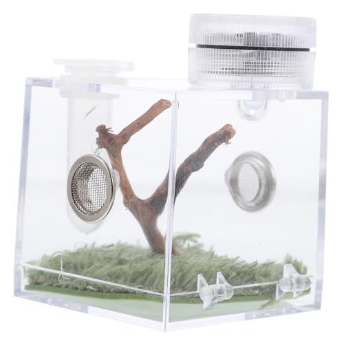 VICASKY Sprungspinnen Habitat Box mit Fütterungsöffnung und Transparent für Haltung von Spinnen Teiliges für Einfache Beobachtung und Pflege von Haustieren VICASKY Sprungspinnen Habitat Box mit Fütterungsöffnung und Transparent für Haltung von Spinnen Teiliges für Einfache Beobachtung und Pflege von Haustieren von VICASKY