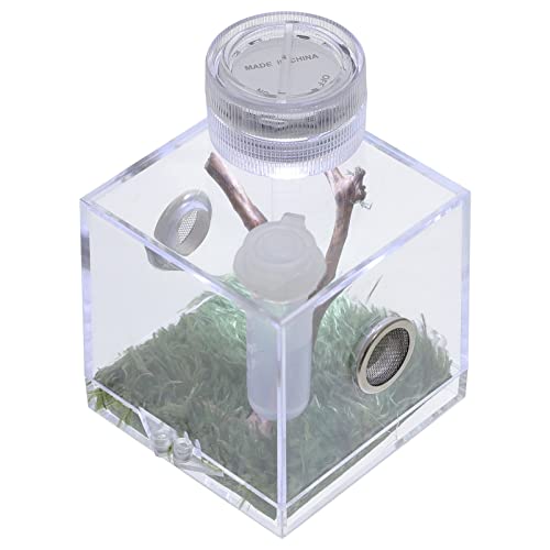 VICASKY Sprungspinnen Habitatbox mit Lampe Zucht und Aufbewahrungsbox für Kleine Haustiere Atmungsaktiv Feuchtigkeitsbeständig Teiliges für Beobachtung von Sprungspinnen von VICASKY