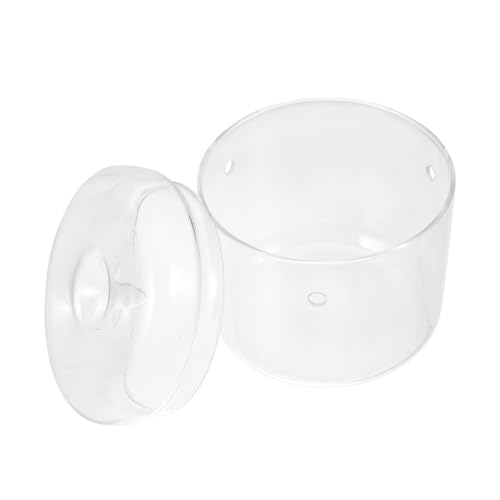 VICASKY Terrarium Für Landschaften Transparente Pflanzenflasche Vielseitige Deko Vase Für Innengestaltung Und Geschenkideen von VICASKY