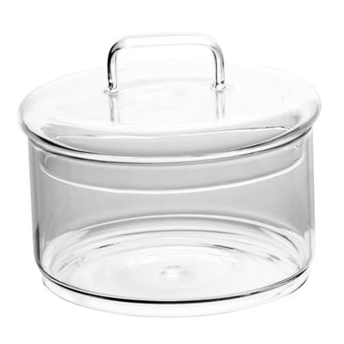 VICASKY Terrarium Glasbehälter mit Deckel Ökologische Flasche aus Klarem Glas Leichte für Zimmerpflanzen DIY Moos Landschaft Vielseitig für Garten und Büro Geeignet von VICASKY