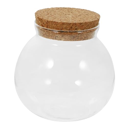 VICASKY Terrarium Glass Bottle with Cork Stopper DIY Hydroponic Plant Holder for Home and Office Decoration Compact for Indoor and Outdoor Use for Moss and Water Plants von VICASKY