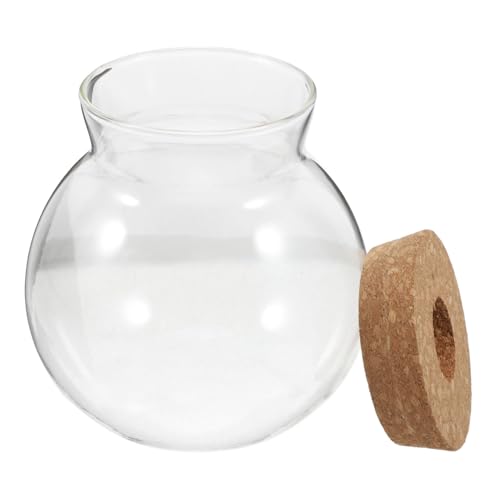 VICASKY Terrarium Mit Korkdeckel Transparentes Pflanzenterrarium Für Mikrolandschaften Für Aquarien Und Hydrokultur Pflanzen Platzsparend von VICASKY