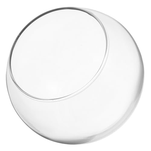 VICASKY Runde Glas Schale Für Fische Transparentes Glasblasen Terrarium Dekorative Hydrokultur Pflanzenschale Desktop Fischglas Für Zuhause Praktisches Glas Fischglas Für Aquarien Und VICASKY Runde Glas Schale Für Fische Transparentes Glasblasen Terrarium Dekorative Hydrokultur Pflanzenschale Desktop Fischglas Für Zuhause Praktisches Glas Fischglas Für Aquarien Und von VICASKY