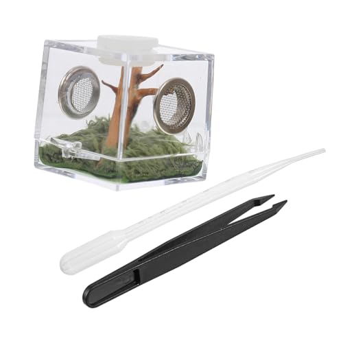 VICASKY Transparente Reptilien Zuchtbox aus mit Belüftung Stabiles Futter und Aufzuchtbehältnis für Springspinnen Insekten und Kleine Haustiere für Zuhause und Transport VICASKY Transparente Reptilien Zuchtbox aus mit Belüftung Stabiles Futter und Aufzuchtbehältnis für Springspinnen Insekten und Kleine Haustiere für Zuhause und Transport von VICASKY