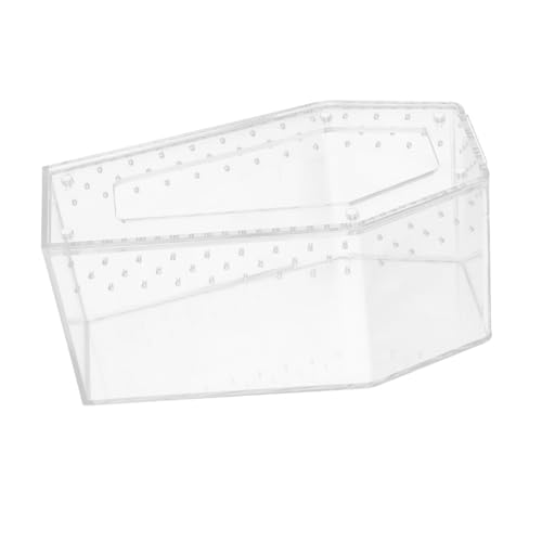 VICASKY Transparente Reptilienzuchtbox Stabiles Gehäuse für Kleine Haustiere Vielseitiger Terrarienkasten für Spinnen Schlangen Eidechsen und Einfach zu Reinigen und Sicher Verschließbar von VICASKY