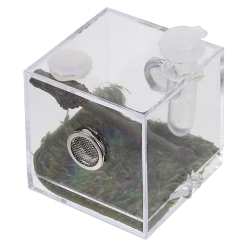 VICASKY Transparentes Kunststoff Spinnen Habitat Terrarium Mittlere Reptilien Zuchtbox Lichtdurchlässiger Robuster Aufbewahrungstank Kompakte Transportbox für Vogelspinnen und Kleine von VICASKY