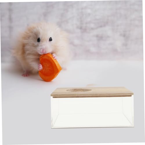 VICASKY Transparentes Multifunktionales Sandbad für Hamster und Kleintiere Rechteckige Sand Badewanne mit Glatten Kanten als Haustier Toilette und Sandbad Geeignet Sicheres Design für von VICASKY