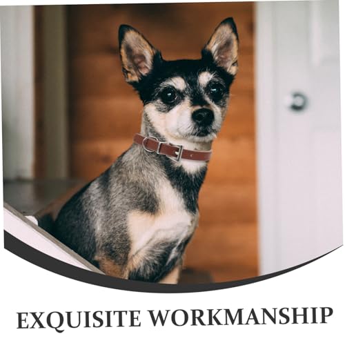 VICASKY Verstellbares Haustierhalsband aus Weichem PU für Kleine Hunde und Katzen Komfortables Langlebiges Welpen Kätzchenhalsband in S Geeignet für Jungen Katzen und Haustierpartys von VICASKY