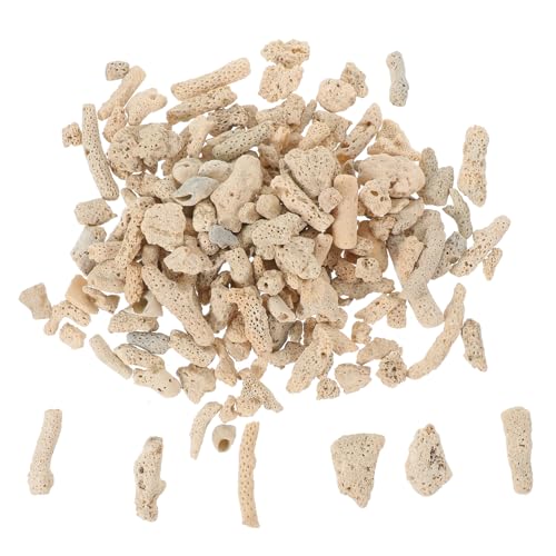 VICASKY Zerkleinerte Korallen für Aquarien Filtermaterial Deko für Fischbecken Hochdurchlässig und Formstabil für Aquariengestaltung und Fischhaltung VICASKY Zerkleinerte Korallen für Aquarien Filtermaterial Deko für Fischbecken Hochdurchlässig und Formstabil für Aquariengestaltung und Fischhaltung von VICASKY