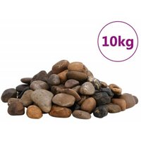 VidaXL Polierte Kiesel Mehrfarbig von VIDAXL