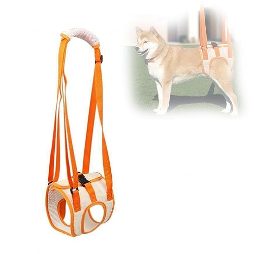 Hunde-Hebegeschirr, Hunde-Stützgeschirr, Hinterbein-Hilfsgürtel für Arthritis-Lähmung, Hundespaziergang, Hunde-Hebe-Unterstützung, Haustier-Rehabilitationsgeschirr,M Hunde-Hebegeschirr, Hunde-Stützgeschirr, Hinterbein-Hilfsgürtel für Arthritis-Lähmung, Hundespaziergang, Hunde-Hebe-Unterstützung, Haustier-Rehabilitationsgeschirr,M von VIDECOR