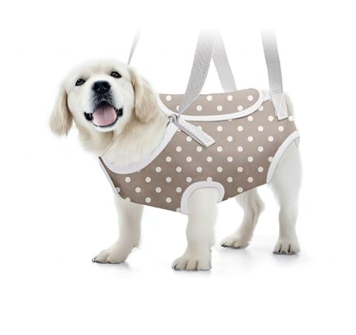 Soft Jacket Step-in-Hunde-/Katzengeschirr und Leine-Set Zum Spazierengehen, Hundegeschirre mit Schnellverschluss für Welpen, Große Katzen, Verstellbar, Leicht,B-M von VIDECOR