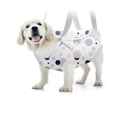 Soft Jacket Step-in-Hunde-/Katzengeschirr und Leine-Set Zum Spazierengehen, Hundegeschirre mit Schnellverschluss für Welpen, Große Katzen, Verstellbar, Leicht,D-L von VIDECOR