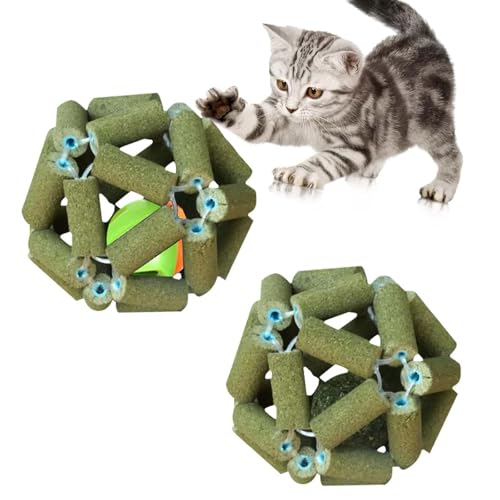 VIDSTW 2 Stücke Katzenminze Ball Spielzeug, Catnip Ball Spielzeug mit Glocke, Katzenminze Spielzeug Katzenzähne Reinigen, Katzenstimmung Lindern, Fördern sie die Verdauung Ihrer Katze VIDSTW 2 Stücke Katzenminze Ball Spielzeug, Catnip Ball Spielzeug mit Glocke, Katzenminze Spielzeug Katzenzähne Reinigen, Katzenstimmung Lindern, Fördern sie die Verdauung Ihrer Katze von VIDSTW
