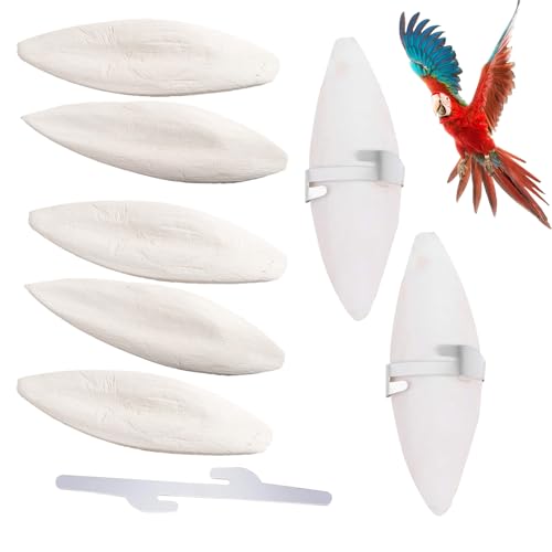 VIDSTW 7 Stück Sepiaschalen für Schildkröten Sepiaschale Mit 3 Metallclips Schildkrötenfutter 9–12 cm Sepia Schalen für Natürliche Kalzium Mineralstoffversorgung Für Landschildkröten Tauben VIDSTW 7 Stück Sepiaschalen für Schildkröten Sepiaschale Mit 3 Metallclips Schildkrötenfutter 9–12 cm Sepia Schalen für Natürliche Kalzium Mineralstoffversorgung Für Landschildkröten Tauben von VIDSTW