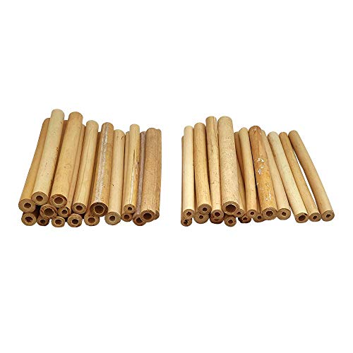 Vie Naturals Bambusröhren für Bienen, 15 cm, 100 Stück Vie Naturals Bambusröhren für Bienen, 15 cm, 100 Stück von VIE