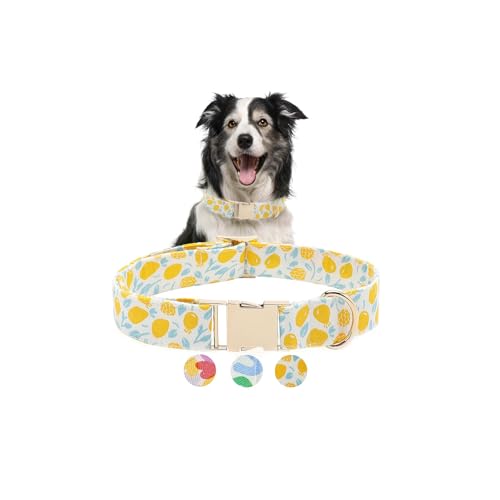 Hundehalsband für große Hunde bis zu 45 kg, niedliches großes Hundehalsband, bequem, gelb, XL-Halsbänder für extra große Rassen, verstellbar, niedlich, große Hunde, Haustierhalsband für Damen, Hundehalsband für große Hunde bis zu 45 kg, niedliches großes Hundehalsband, bequem, gelb, XL-Halsbänder für extra große Rassen, verstellbar, niedlich, große Hunde, Haustierhalsband für Damen, von VILARIS