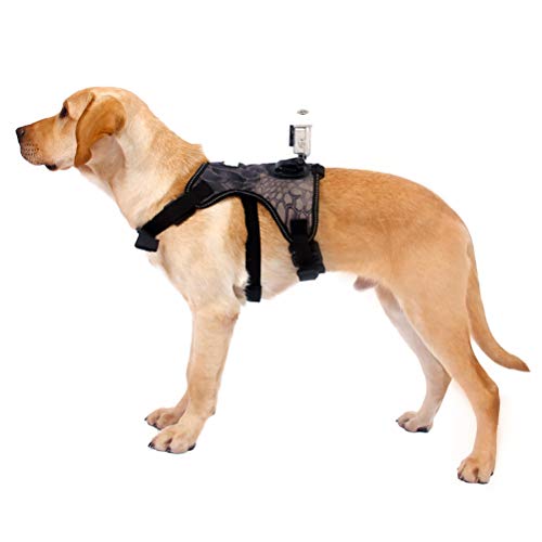VILLCASE Kameragurt Für Hunde Verstellbares Brustgeschirr Für Action-kameras Outdoor-schutz Für Haustiere Robustes Gepolstertes Design Für Sicheres Filmen Beim Spielen Und Schwimmen von VILLCASE