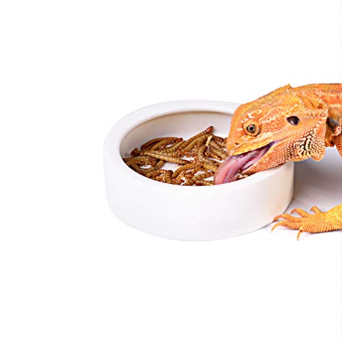 Terrarium Zubehör Keramik-Futterschüssel für Reptilien – 1 Wurmschale Gecko Keramik Futternapf Reptilien Cricket Anti-Flucht Mini Reptilien-Futterstation Schildkröten Zubehör von VILLCASE