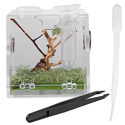 VILLCASE Kasten Springspinnen-zuchtbox Tarantula Gehäuse Schildkröte Lebensraum Kit Glasbehälter Pet Tank Frosch Träger Behälter Für Lebensmittel Reptilienkiste Acryl Meeresschildkröte von VILLCASE