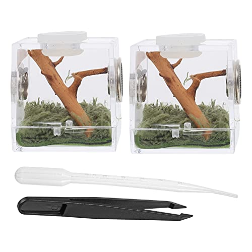 VILLCASE Käfig Spinnenterrarium Springspinnengehege Reptilienzuchtbox Transparentes Acrylzuchtbox Terrarium mit Pinzette & Tropfer zum Füttern von Reptilien (2 Stück 3.5 * 3.5 * 4 cm) von VILLCASE