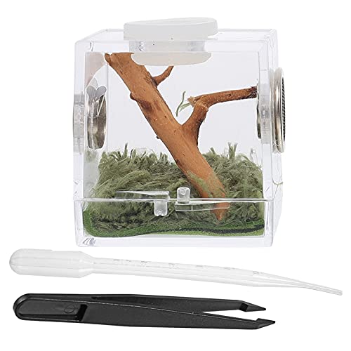 VILLCASE Spinnenterrarium Springspinnengehege Reptilienzuchtbox Transparentes Acrylzuchtbox Terrarium mit Zange Und Pipette zum Füttern von Reptilien (1 Stück 6.7 * 6.7 * 7 cm) von VILLCASE