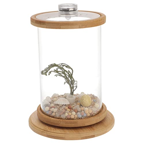 VILLFUL 1 Satz Desktop Micro View Aquarium Mini-künstliche Pflanzen Desktop-Aquarium Hydroponische Pflanzen Kunstpflanzen Durchsichtiger Fisch Fischglas Transparente Fischschale Bürobedarf VILLFUL 1 Satz Desktop Micro View Aquarium Mini-künstliche Pflanzen Desktop-Aquarium Hydroponische Pflanzen Kunstpflanzen Durchsichtiger Fisch Fischglas Transparente Fischschale Bürobedarf von VILLFUL