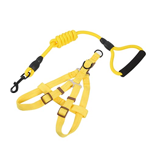 VILLFUL Nylon-hundeleine Bequeme Hundeleine Zum Spazierengehen Welpenleine Trainingsleine Für Große Hunde VILLFUL Nylon-hundeleine Bequeme Hundeleine Zum Spazierengehen Welpenleine Trainingsleine Für Große Hunde von VILLFUL