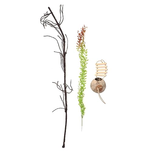 VILLFUL Eidechsen-kletterranken Reptilienversteck Muschel-Set Dekorative Kletterhilfe Für Terrarium Naturgetreues Reptilien-Becken von VILLFUL
