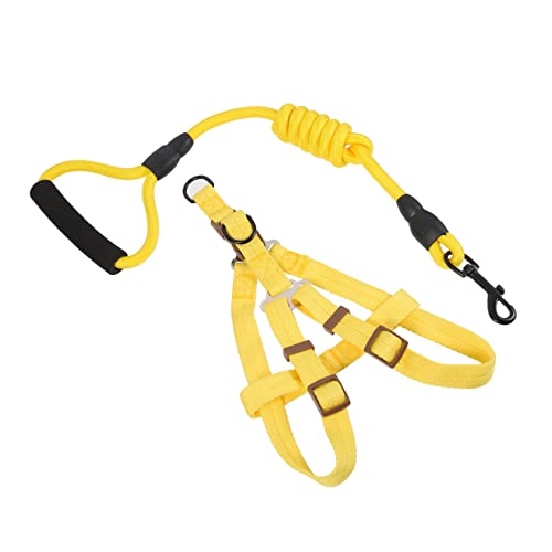 VILLFUL 1 Set Haustierleine Hundeleinen Set Haustiergeschirr Leine Trainingsleine Hundeleine Für Welpen Hundegeschirr Leine Nylonleine Haustiergeschirr Für Kleine Hunde Welpengeschirr VILLFUL 1 Set Haustierleine Hundeleinen Set Haustiergeschirr Leine Trainingsleine Hundeleine Für Welpen Hundegeschirr Leine Nylonleine Haustiergeschirr Für Kleine Hunde Welpengeschirr von VILLFUL